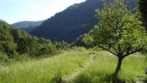 Photo 724375