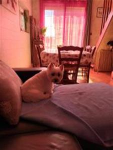 Photo 745283
