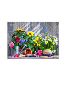 Photo 765842