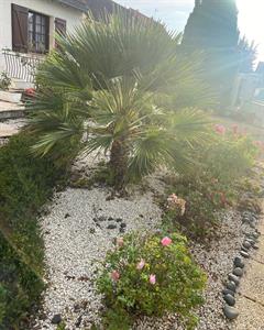 Photo 908783